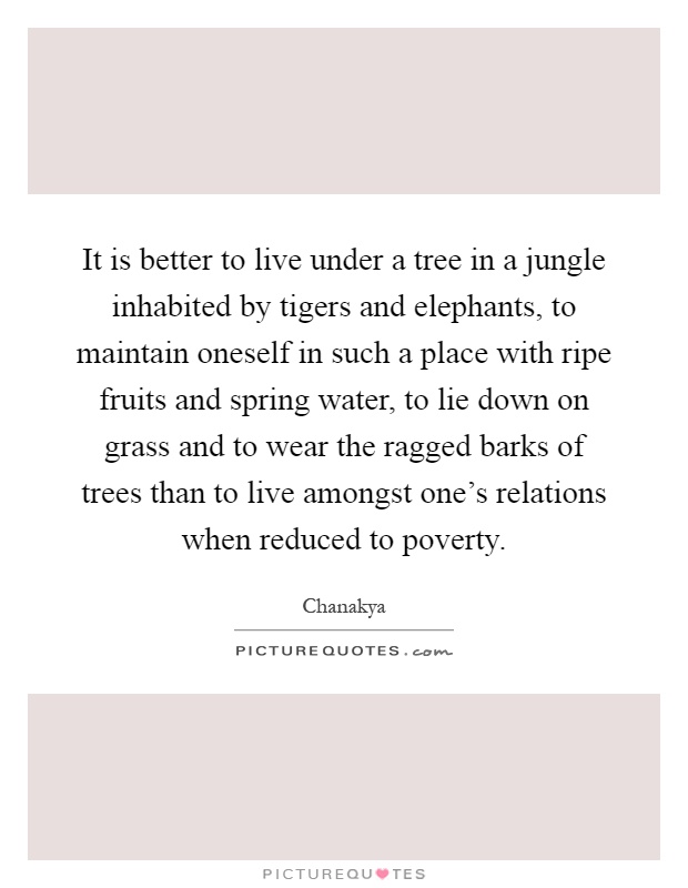 It is better to live under a tree in a jungle inhabited by tigers and elephants, to maintain oneself in such a place with ripe fruits and spring water, to lie down on grass and to wear the ragged barks of trees than to live amongst one's relations when reduced to poverty Picture Quote #1