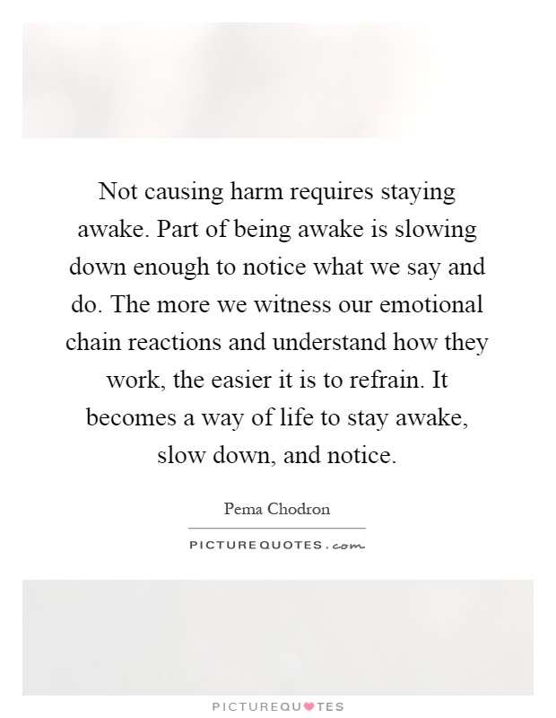 Not causing harm requires staying awake. Part of being awake is slowing down enough to notice what we say and do. The more we witness our emotional chain reactions and understand how they work, the easier it is to refrain. It becomes a way of life to stay awake, slow down, and notice Picture Quote #1