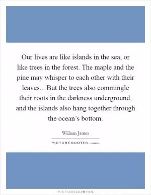 Our lives are like islands in the sea, or like trees in the forest. The maple and the pine may whisper to each other with their leaves... But the trees also commingle their roots in the darkness underground, and the islands also hang together through the ocean’s bottom Picture Quote #1