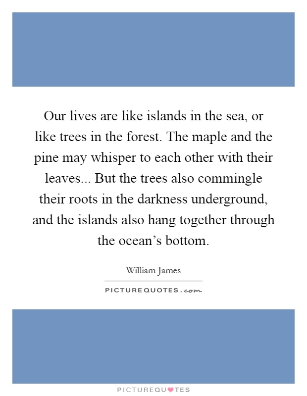 Our lives are like islands in the sea, or like trees in the forest. The maple and the pine may whisper to each other with their leaves... But the trees also commingle their roots in the darkness underground, and the islands also hang together through the ocean's bottom Picture Quote #1