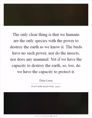The only clear thing is that we humans are the only species with the power to destroy the earth as we know it. The birds have no such power, nor do the insects, nor does any mammal. Yet if we have the capacity to destroy the earth, so, too, do we have the capacity to protect it Picture Quote #1