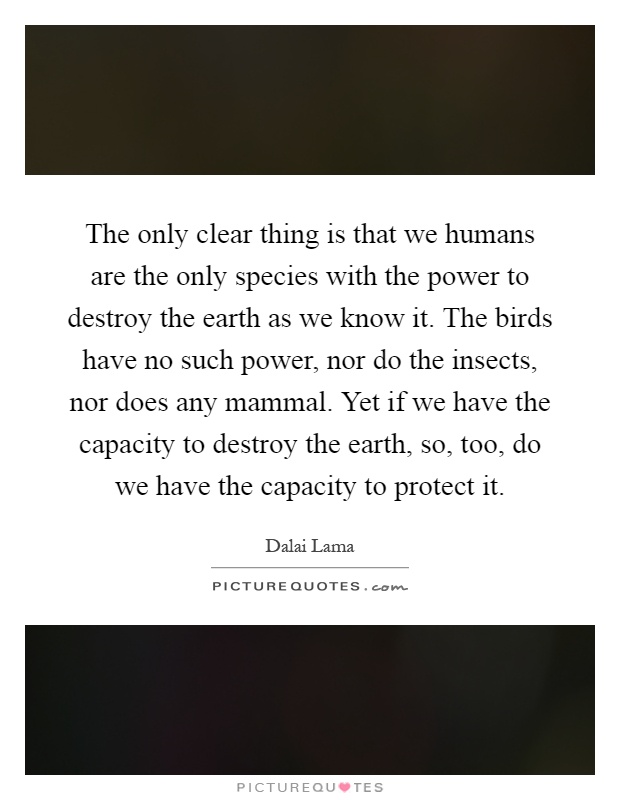 The only clear thing is that we humans are the only species with the power to destroy the earth as we know it. The birds have no such power, nor do the insects, nor does any mammal. Yet if we have the capacity to destroy the earth, so, too, do we have the capacity to protect it Picture Quote #1