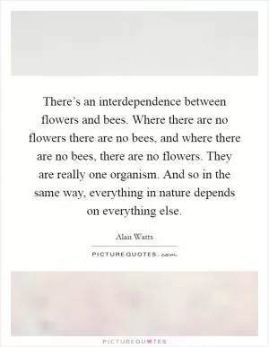 There’s an interdependence between flowers and bees. Where there are no flowers there are no bees, and where there are no bees, there are no flowers. They are really one organism. And so in the same way, everything in nature depends on everything else Picture Quote #1