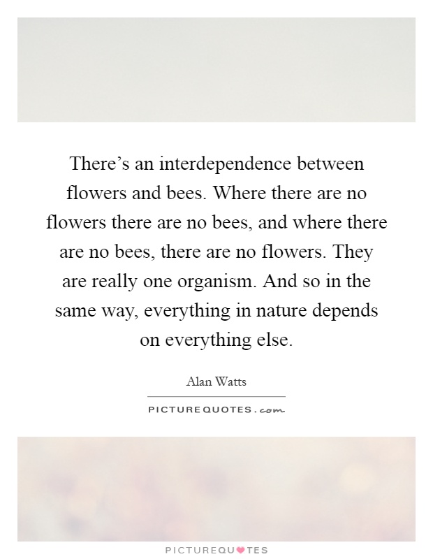 There's an interdependence between flowers and bees. Where there are no flowers there are no bees, and where there are no bees, there are no flowers. They are really one organism. And so in the same way, everything in nature depends on everything else Picture Quote #1