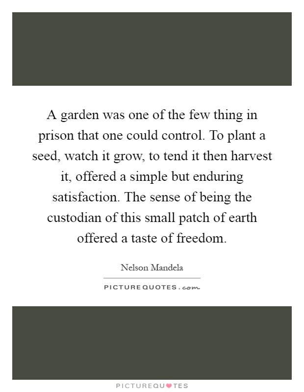 A garden was one of the few thing in prison that one could control. To plant a seed, watch it grow, to tend it then harvest it, offered a simple but enduring satisfaction. The sense of being the custodian of this small patch of earth offered a taste of freedom Picture Quote #1