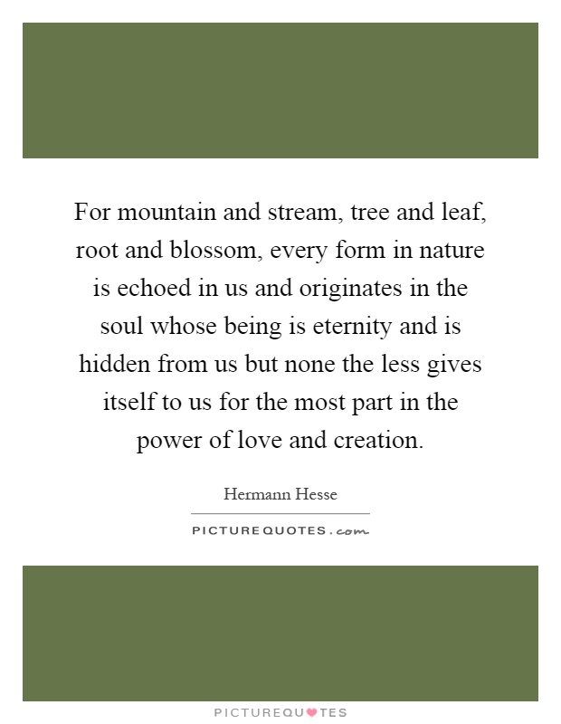 For mountain and stream, tree and leaf, root and blossom, every form in nature is echoed in us and originates in the soul whose being is eternity and is hidden from us but none the less gives itself to us for the most part in the power of love and creation Picture Quote #1