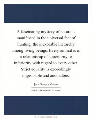A fascinating mystery of nature is manifested in the universal fact of hunting: the inexorable hierarchy among living beings. Every animal is in a relationship of superiority or inferiority with regard to every other. Strict equality is exceedingly improbable and anomalous Picture Quote #1