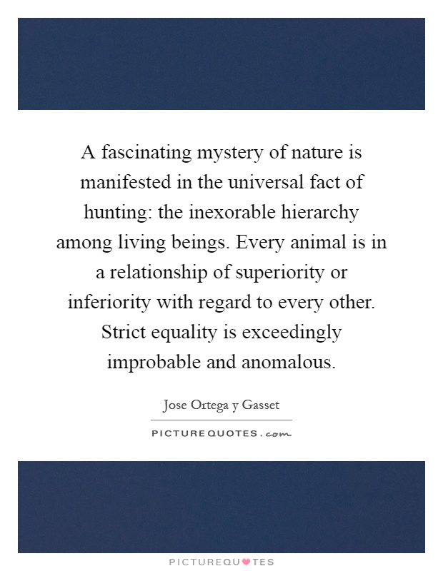 A fascinating mystery of nature is manifested in the universal fact of hunting: the inexorable hierarchy among living beings. Every animal is in a relationship of superiority or inferiority with regard to every other. Strict equality is exceedingly improbable and anomalous Picture Quote #1