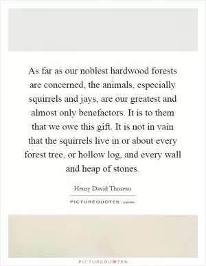 As far as our noblest hardwood forests are concerned, the animals, especially squirrels and jays, are our greatest and almost only benefactors. It is to them that we owe this gift. It is not in vain that the squirrels live in or about every forest tree, or hollow log, and every wall and heap of stones Picture Quote #1