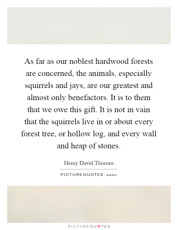As far as our noblest hardwood forests are concerned, the animals, especially squirrels and jays, are our greatest and almost only benefactors. It is to them that we owe this gift. It is not in vain that the squirrels live in or about every forest tree, or hollow log, and every wall and heap of stones Picture Quote #1