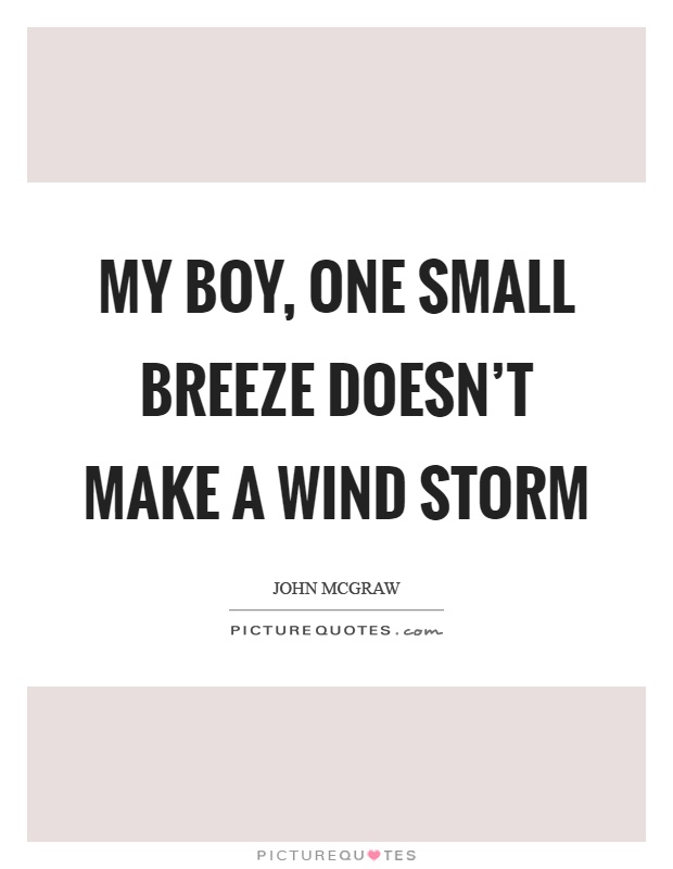 My boy, one small breeze doesn't make a wind storm Picture Quote #1