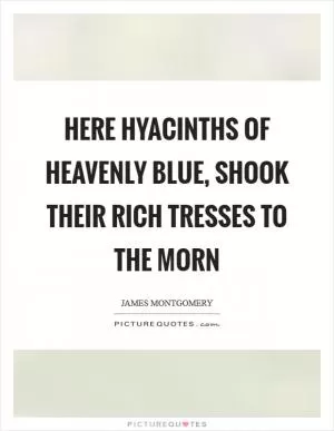 Here hyacinths of heavenly blue, shook their rich tresses to the morn Picture Quote #1