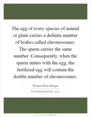 The egg of every species of animal or plant carries a definite number of bodies called chromosomes. The sperm carries the same number. Consequently, when the sperm unites with the egg, the fertilized egg will contain the double number of chromosomes Picture Quote #1