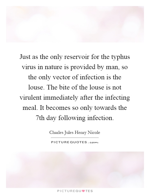 Just as the only reservoir for the typhus virus in nature is provided by man, so the only vector of infection is the louse. The bite of the louse is not virulent immediately after the infecting meal. It becomes so only towards the 7th day following infection Picture Quote #1