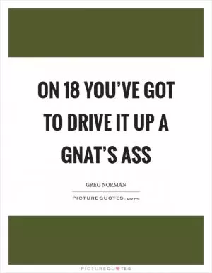 On 18 you’ve got to drive it up a gnat’s ass Picture Quote #1