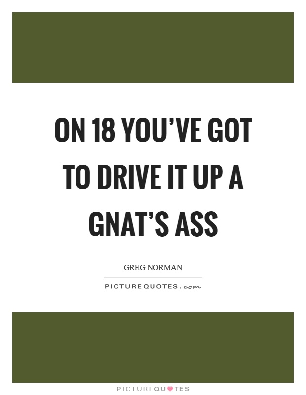 On 18 you've got to drive it up a gnat's ass Picture Quote #1