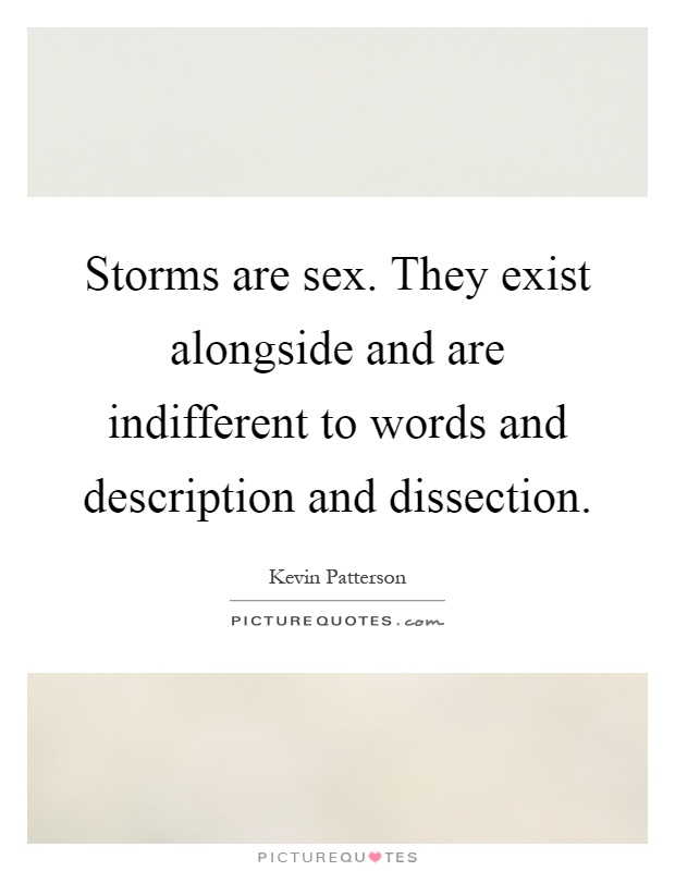 Storms are sex. They exist alongside and are indifferent to words and description and dissection Picture Quote #1