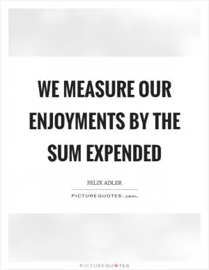 We measure our enjoyments by the sum expended Picture Quote #1