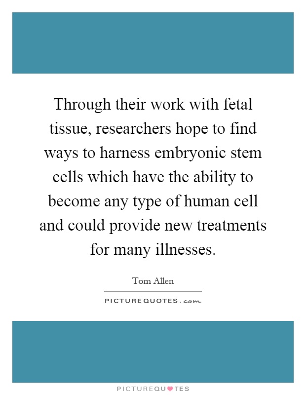 Through their work with fetal tissue, researchers hope to find ways to harness embryonic stem cells which have the ability to become any type of human cell and could provide new treatments for many illnesses Picture Quote #1