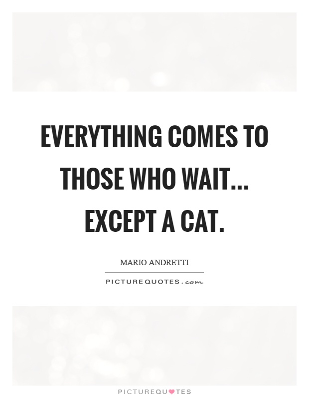 Everything comes to those who wait... Except a cat Picture Quote #1