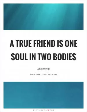 A true friend is one soul in two bodies Picture Quote #1