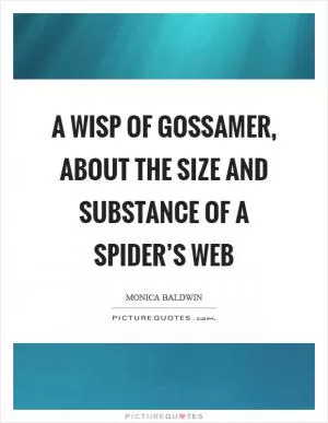A wisp of gossamer, about the size and substance of a spider’s web Picture Quote #1