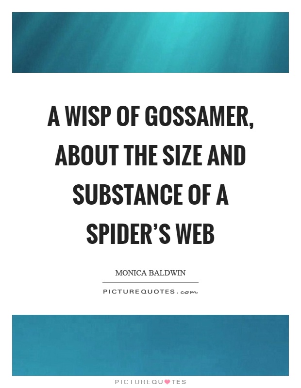 A wisp of gossamer, about the size and substance of a spider's web Picture Quote #1
