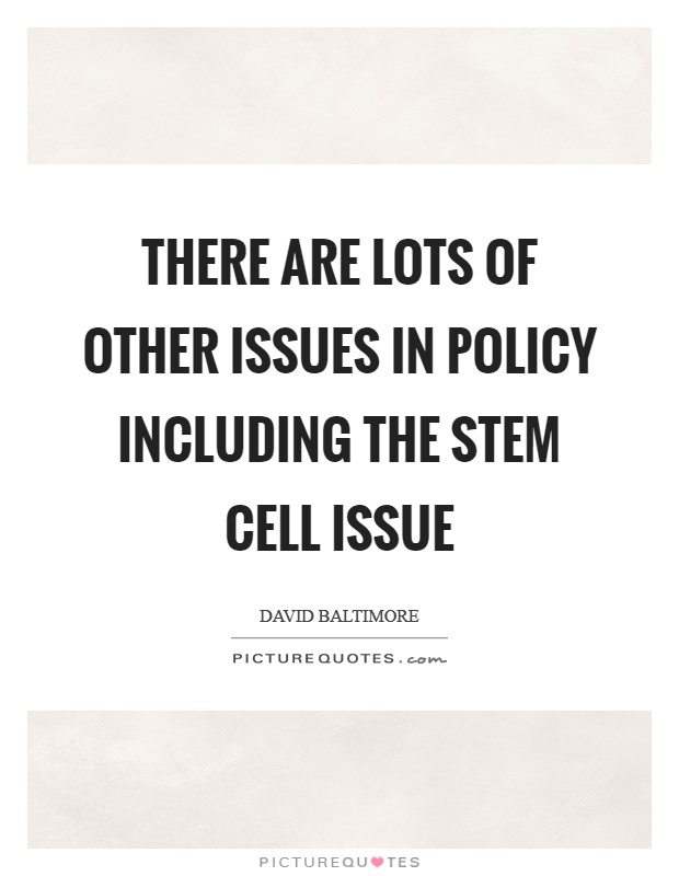 There are lots of other issues in policy including the stem cell issue Picture Quote #1
