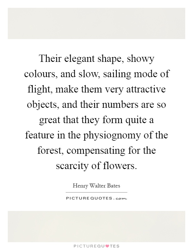 Their elegant shape, showy colours, and slow, sailing mode of flight, make them very attractive objects, and their numbers are so great that they form quite a feature in the physiognomy of the forest, compensating for the scarcity of flowers Picture Quote #1
