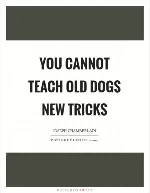 You cannot teach old dogs new tricks Picture Quote #1