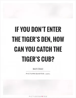 If you don’t enter the tiger’s den, how can you catch the tiger’s cub? Picture Quote #1