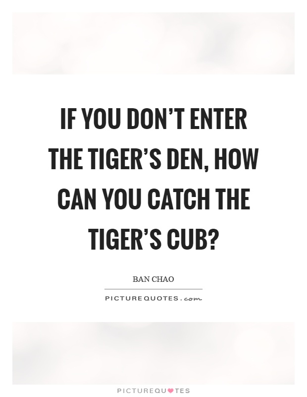 If you don't enter the tiger's den, how can you catch the tiger's cub? Picture Quote #1