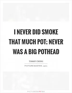 I never did smoke that much pot; never was a big pothead Picture Quote #1