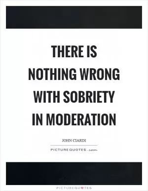 There is nothing wrong with sobriety in moderation Picture Quote #1