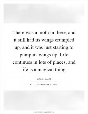 There was a moth in there, and it still had its wings crumpled up, and it was just starting to pump its wings up. Life continues in lots of places, and life is a magical thing Picture Quote #1
