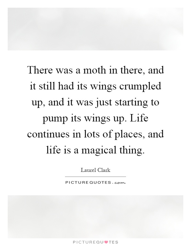 There was a moth in there, and it still had its wings crumpled up, and it was just starting to pump its wings up. Life continues in lots of places, and life is a magical thing Picture Quote #1