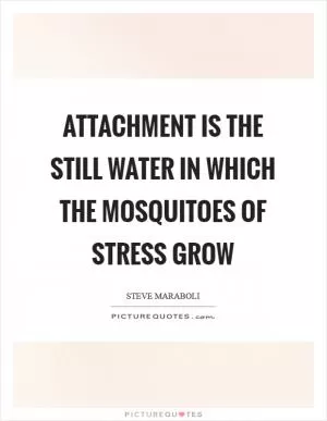 Attachment is the still water in which the mosquitoes of stress grow Picture Quote #1