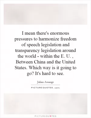 I mean there's enormous pressures to harmonize freedom of speech legislation and transparency legislation around the world - within the E. U., Between China and the United States. Which way is it going to go? It's hard to see Picture Quote #1