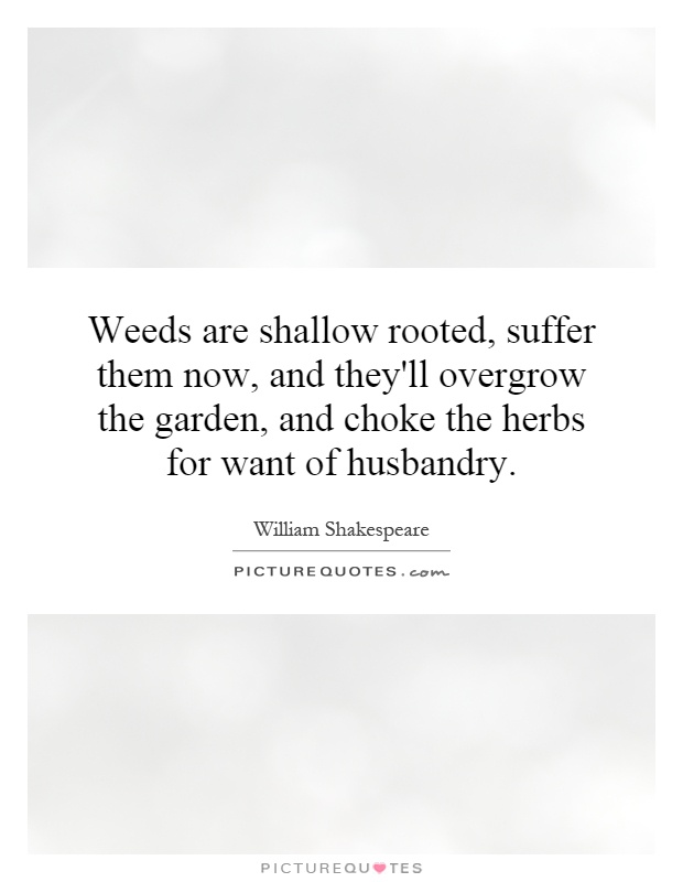 Weeds are shallow rooted, suffer them now, and they'll overgrow the garden, and choke the herbs for want of husbandry Picture Quote #1