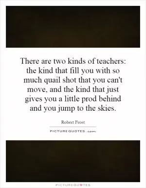 There are two kinds of teachers: the kind that fill you with so much quail shot that you can't move, and the kind that just gives you a little prod behind and you jump to the skies Picture Quote #1