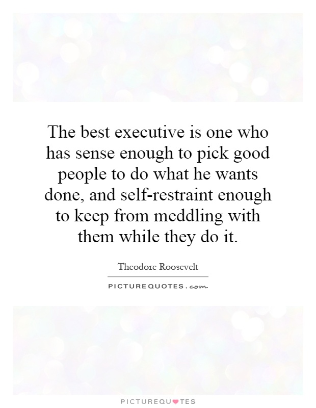 The best executive is one who has sense enough to pick good people to do what he wants done, and self-restraint enough to keep from meddling with them while they do it Picture Quote #1