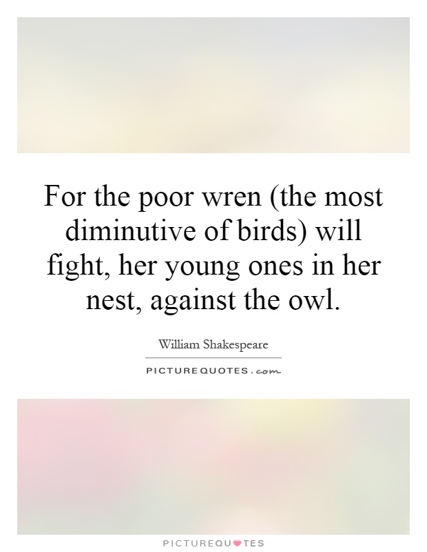 For the poor wren (the most diminutive of birds) will fight, her young ones in her nest, against the owl Picture Quote #1