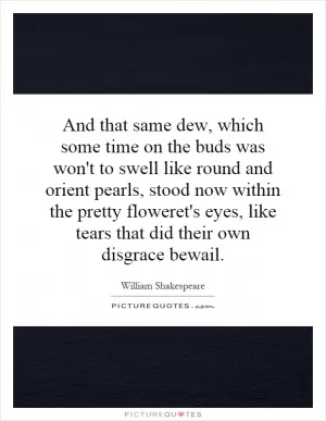 And that same dew, which some time on the buds was won't to swell like round and orient pearls, stood now within the pretty floweret's eyes, like tears that did their own disgrace bewail Picture Quote #1