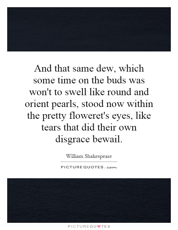 And that same dew, which some time on the buds was won't to swell like round and orient pearls, stood now within the pretty floweret's eyes, like tears that did their own disgrace bewail Picture Quote #1