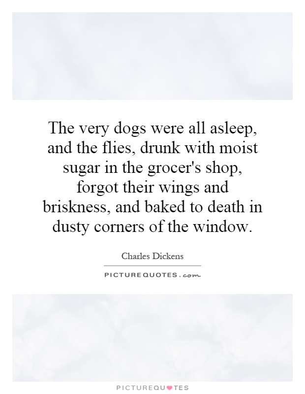 The very dogs were all asleep, and the flies, drunk with moist sugar in the grocer's shop, forgot their wings and briskness, and baked to death in dusty corners of the window Picture Quote #1