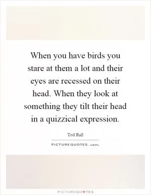 When you have birds you stare at them a lot and their eyes are recessed on their head. When they look at something they tilt their head in a quizzical expression Picture Quote #1