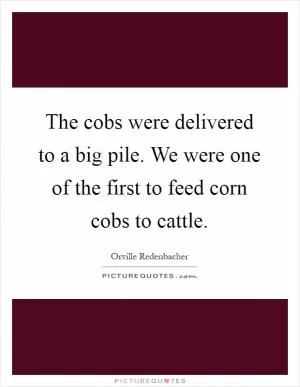 The cobs were delivered to a big pile. We were one of the first to feed corn cobs to cattle Picture Quote #1