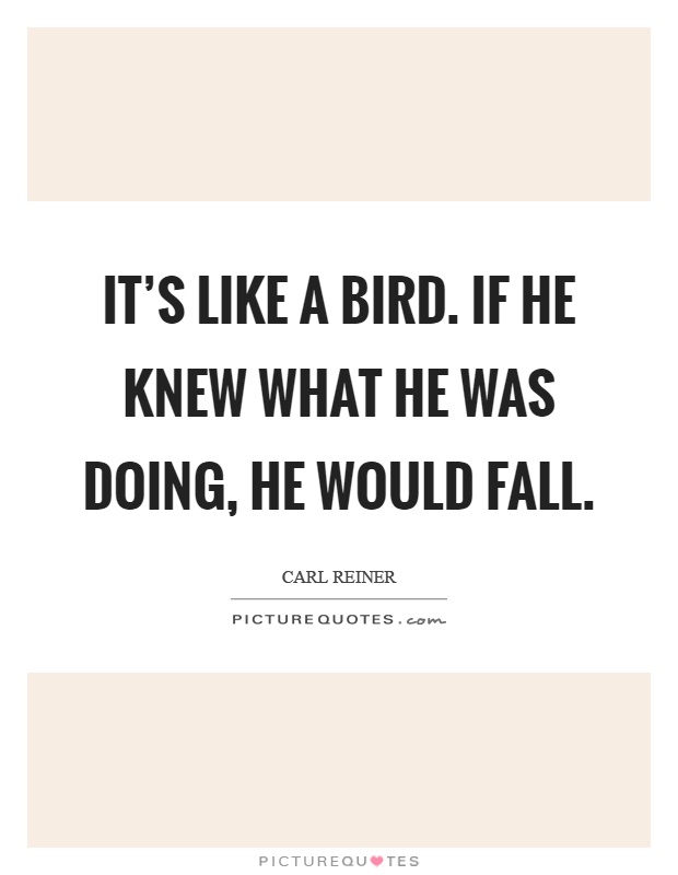 It's like a bird. If he knew what he was doing, he would fall Picture Quote #1