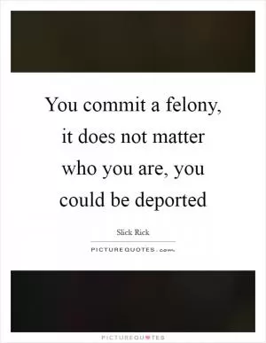 You commit a felony, it does not matter who you are, you could be deported Picture Quote #1