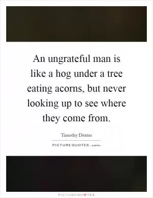 An ungrateful man is like a hog under a tree eating acorns, but never looking up to see where they come from Picture Quote #1